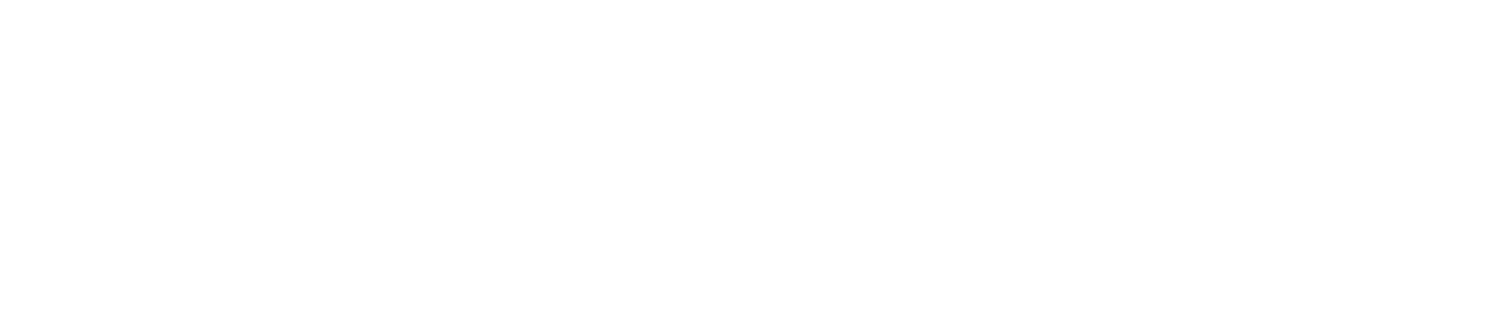Logo FLUX